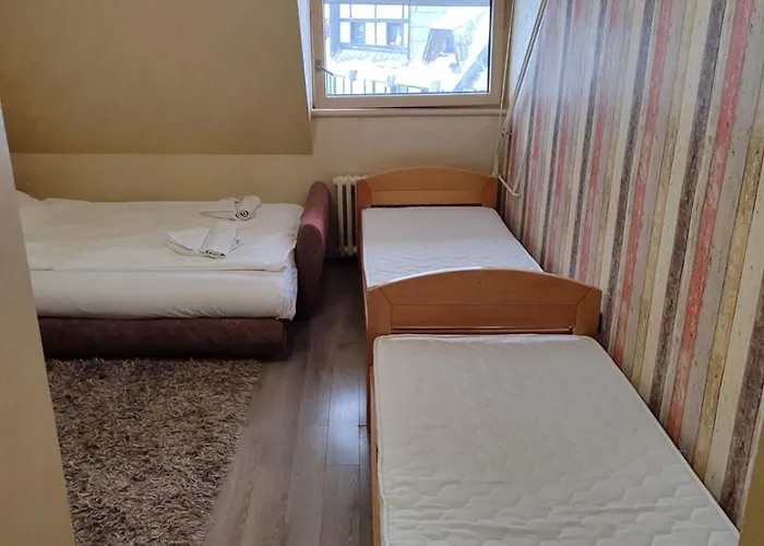 Centar Slope Kopaonik